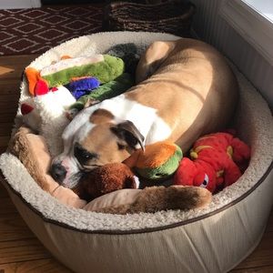 Meet your Posher, Kelley